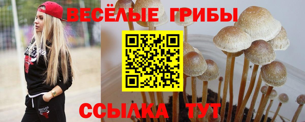 Коркино  Галлюциногенные грибы MAGIC MUSHROOMS  Вход с VPN  Псилоцибиновые грибы ЛСД 