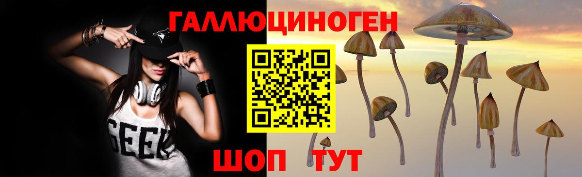 Псилоцибиновые грибы Cubensis Коркино